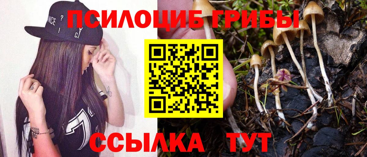 Галлюциногенные грибы Psilocybine cubensis Лабытнанги