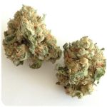 Шишки "White Widow"  (Белая вдова)  Гидропоника -  Бошка VHQ в Лабытнанги